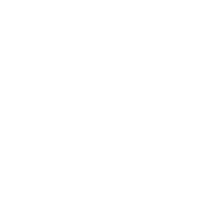 logo-vietnam-bike-depot